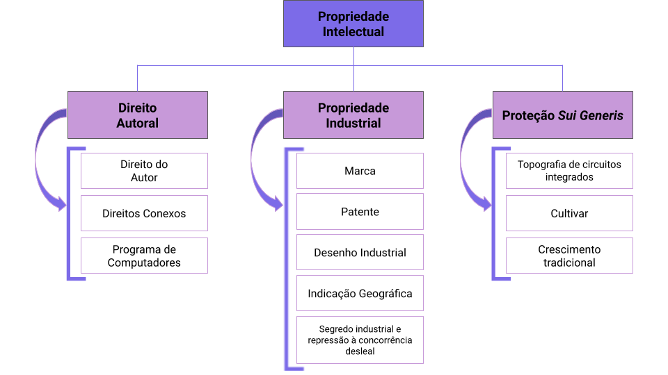 Propriedade Industrial, propriedade intelectual