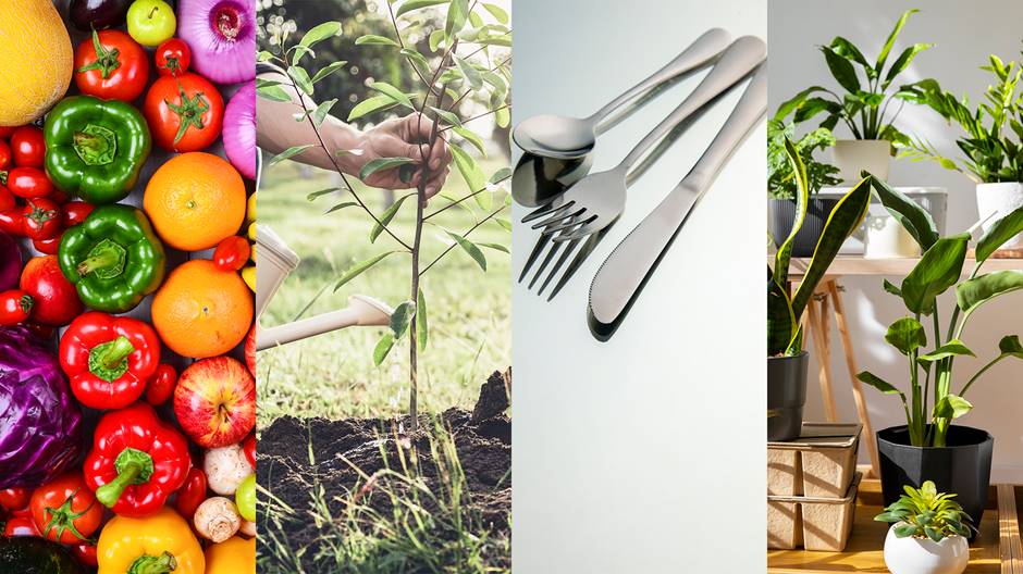 quatro divisões na vertical: a primeira algumas frutas e legumes; a segunda um pé de arvore sendo regada; a terceira uma colher, um garfo e uma faca; na quarta algumas plantas dispostas em vasos diferentes. 